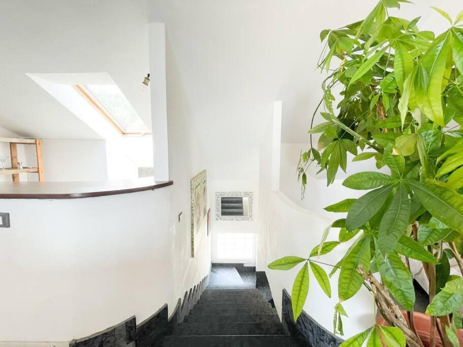 Elegante Appartamento 100 Mq Parcheggio - Wi Fi Savona Dış mekan fotoğraf
